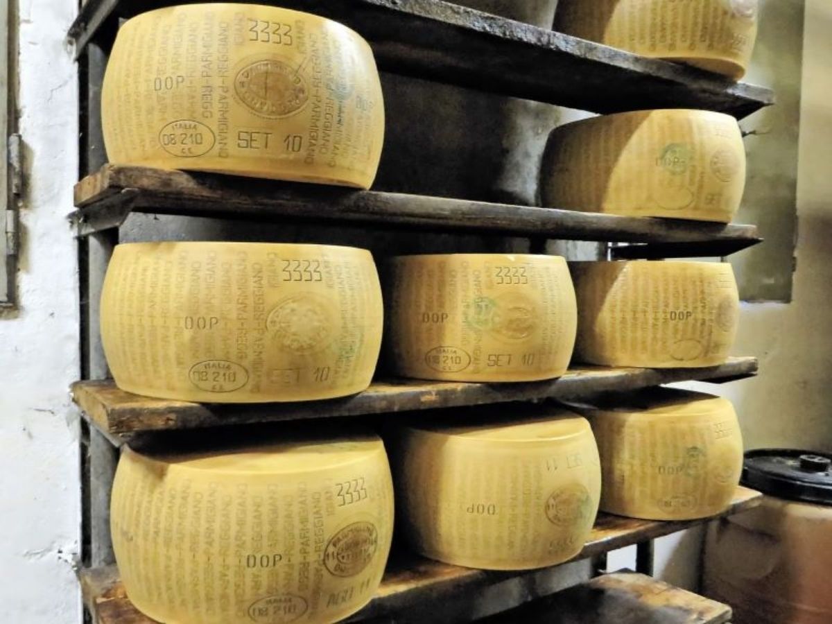 Parmigiano Reggiano wheels